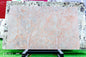 BVG- PINK-04