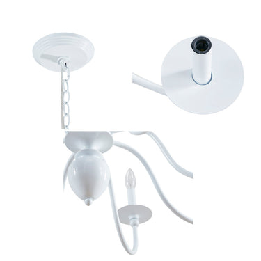 Carven Traditional Chandelier Lighting