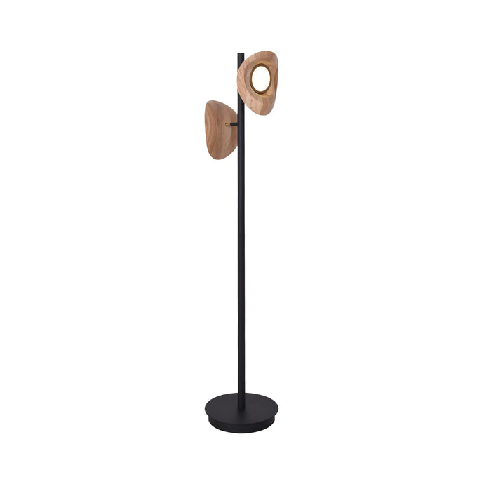 Nest Floor Lamp Lighting