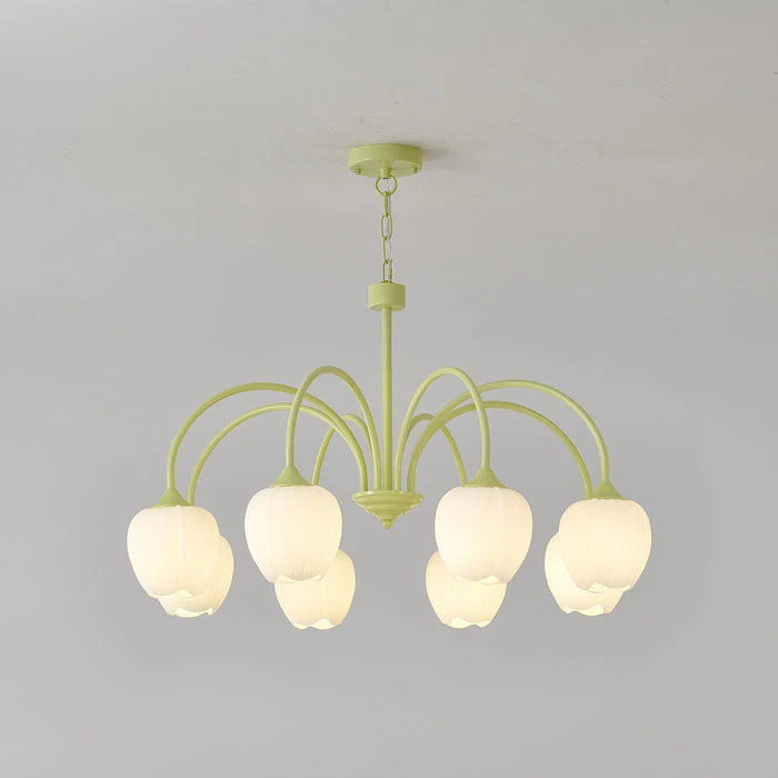 Tulip Bud Chandelier Lighting